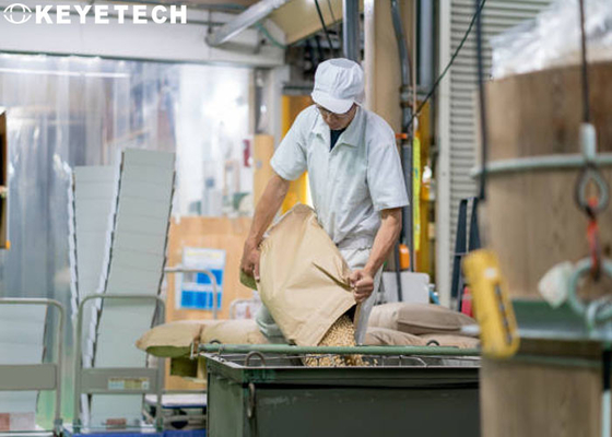 Pleine qualité des produits alimentaires visuelle automatisée examinant la machine pour assurer le stockage de grain