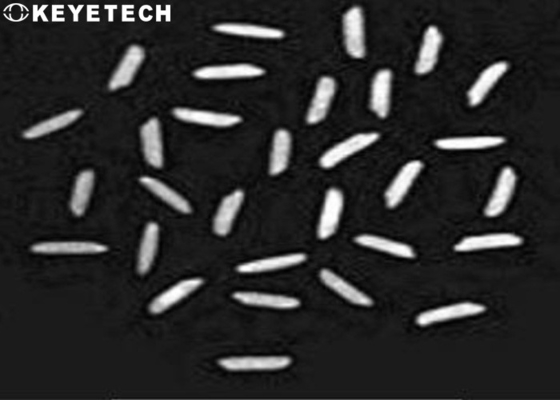 Laboratoire d'analyseur de qualité de riz d'analyse alimentaire avec 900-1200pcs par vitesse minutieuse