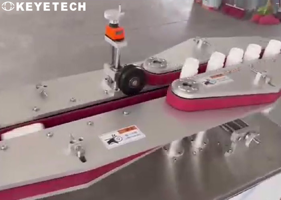 Machine en différé d'inspection visuelle de bouteille avec le système automatique de rejet et de compte