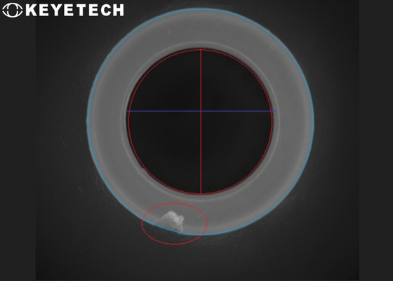 Machine d'inspection visuelle de solides solubles 304 pour le contrôle de qualité de produit de FMCG